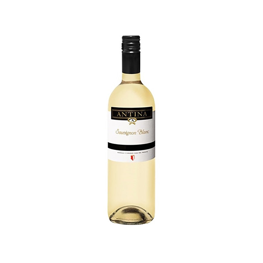 Tierra de Castilla Sauvignon Blanc Antina